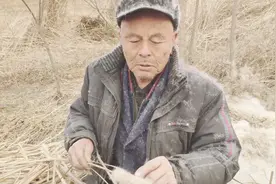 农村小伙来河边钓鱼，发现一种野草，能做枕头和扫帚