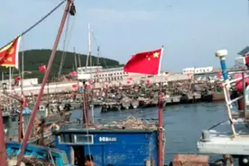 忙碌的东口码头，新鲜的海货多样化，价格便宜实惠一起来看看视频封面