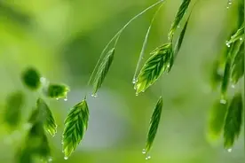 晨练必备的轻音乐视频封面