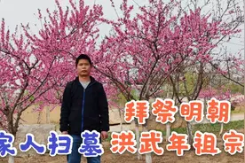 广西北海客家人，清明扫墓习俗，从明朝祖宗开始，真有特色视频封面
