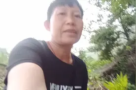 今天分享给你们看蛇皮草。这个罕见的很少出现。