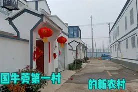 春节期间，到“中国牛蒡第一村”徐州齐阁新农村去看看，真好！视频封面