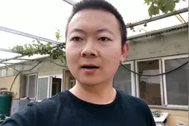 青岛崂山，老两口自己搭理的农场，要求不高年入10万就可以。视频封面