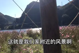住在日本乡下风景特别漂亮，没事附近走走，空气特别新鲜视频封面