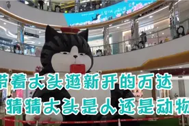 带着“大头”逛乌鲁木齐新开的万达，遛一遛视频封面