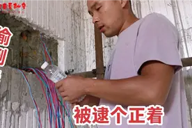穿铜线可以倒洗洁精吗？元芳发现偷倒了该怎么处理！对线伤害大吗视频封面