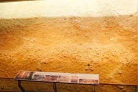 湖北发现6000年前遗址，挖出7米远古“巨龙”，专家：龙真的存在