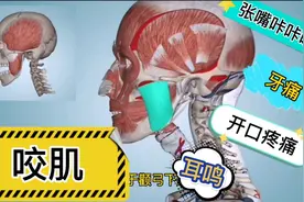 咬肌解剖  缓解咬肌损伤引起的症状  推拿经验分享在家就可以按摩视频封面