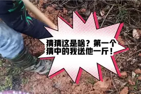 最天然的丰胸剂！常吃能够让你胸部越来越丰满！皮肤越来越光滑！视频封面
