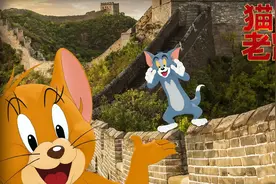 真人版《猫和老鼠》视频封面