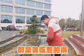 吃鱼被鱼刺卡住喉咙，咽不下去，也吐不出来怎么办？视频封面