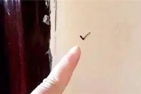 如果家门口有这些符号，万万不可忽视，真不是迷信，立马叮嘱家人视频封面