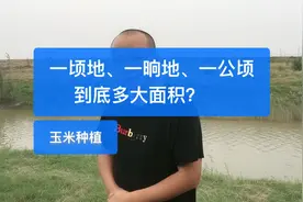 一顷地、一晌地、一公顷，到底多大面积？