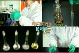 网传鸡翅尖有毒？实验告诉你真相！视频封面