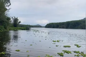 我想去长沙北京武汉重庆玩几天，可惜我没有钱，只能乡下看风景视频封面