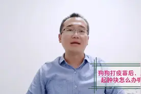 狗狗打疫苗后脖子起肿块了怎么办？宠物医生教你3个小妙招