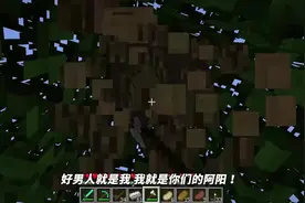模拟人生5：女儿娇生惯养不愿意干活，气的阿阳直接生了二胎！视频封面