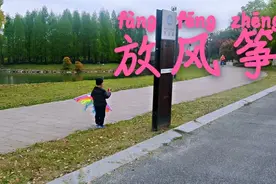 五岁小男孩，第一次河边放风筝，真的飞起来了，好开心😄视频封面