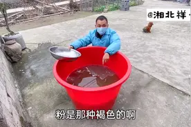 像泥巴一样的葛根粉，用原生态的分离技术，没有一点杂质视频封面