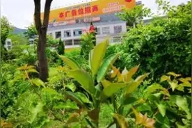 广东云浮市广昆高速公路上，一个奇怪服务区葵洞服务区，很不一样视频封面