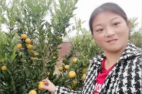 教大家了解蜜橘和砂糖橘的区别在哪里视频封面