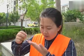 丈夫直接丢掉妻子的高跟鞋，被环卫工捡走，谁知高跟鞋里有惊喜视频封面