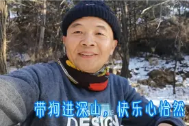 午后阳光多灿烂，带狗进入太行山，大狗跑的没踪影，小狗撒着欢！视频封面