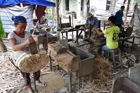 实拍小作坊生产筷子全过程，好恶心，看完再也不想用一次性筷子了视频封面