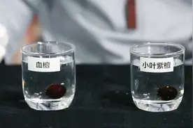 小叶紫檀鉴别真假沉水法管不管用？视频封面