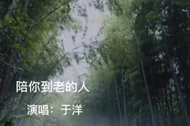 于洋《陪你到老的人》伤感情歌完整版