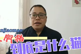 “三脚猫”到底是只什么样的猫？视频封面