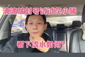 滴滴被封号，被逼无奈跑了半天花小猪看下到底和滴滴有多大差别！视频封面