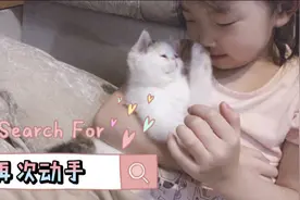小主人跟猫咪玩，猫咪不停的找机会摸小主人的脸和鼻子，为什么？视频封面