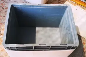 手把手的教你做一个可以长期稳定繁殖蚯蚓的家庭养殖箱视频封面