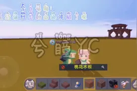 我终于把兮晨叫过来一起拍视频啦！（建筑）有声控哦！视频封面