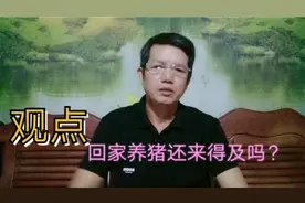 养猪利润这么高，提醒朋友们投资有风险，别踩我踩过的坑视频封面
