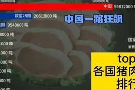 [数据可视化]各国猪肉消费量排行榜，还记得那根红柱子吗