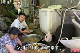 自制纯正土豆淀粉，100斤土豆能做10斤淀粉，学会再也不用上超市视频封面