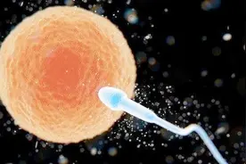 男人一生最多排多少次精，频率过高会怎样？