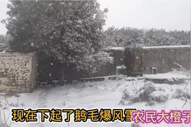 苏北农村如约而至的超级暴风雪，寸步难行，暴雪乱舞，百年不遇！视频封面