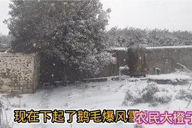 苏北农村如约而至的超级暴风雪，寸步难行，暴雪乱舞，百年不遇！视频封面