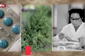 依然抗疟首选，直指红斑狼疮！屠哟哟团队解开青蒿素更多秘密