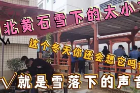 湖北黄石下的雪太小了，这个冬天你还会想它吗？雪落下的声音。