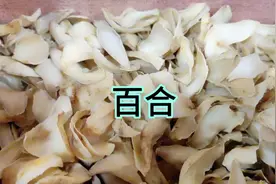 此百合非彼百合，药用百合颜色微黄，缺乏光泽性视频封面