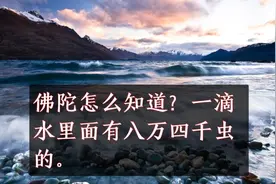 佛陀怎么知道？一滴水里面有八万四千虫的。视频封面