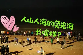 葫芦岛惊现罕见荧光海，浪花自带蓝光，观海人络绎不绝！视频封面