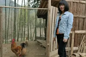 鸡舍怎么搭建？看当年的下乡知青做的，人住都没问题视频封面