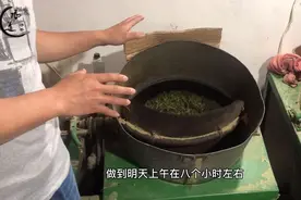 随道寻茶之涌溪火青，一款被人遗忘的历史名茶，曾经出口国外视频封面