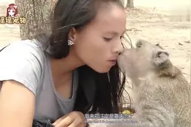 猴子对美女一见钟情，居然勇敢示爱，画面真是太过精彩！视频封面