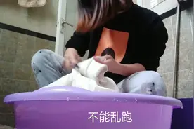 因为疫情越来越严重，不能出门的懒兔兔回不去娘家了，只能待在家